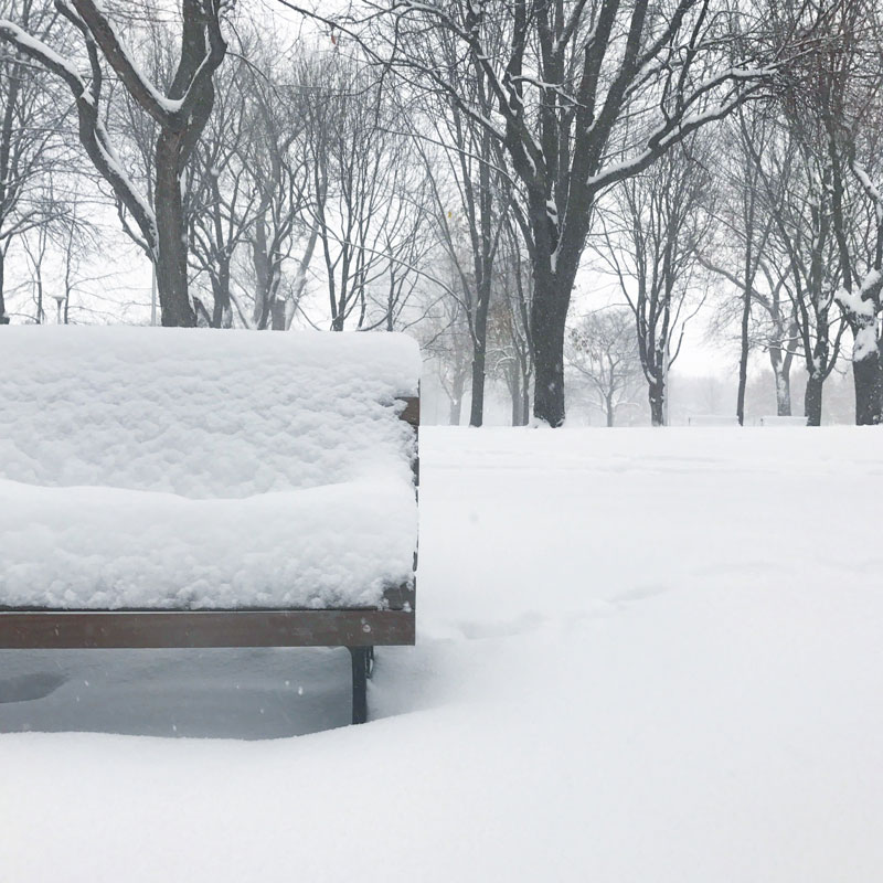 Have a seat Mr. Snow